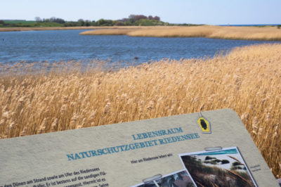 Lebensraumtyp "Strandseen"