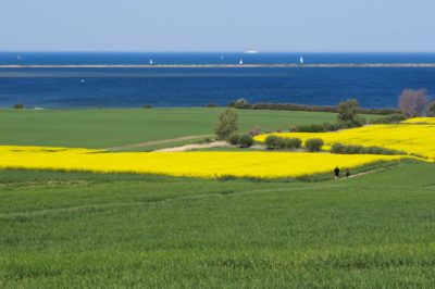 Foto: Ostseeküste bei Kühlungsborn M-V, LRT 1160, flache große Meeresarme und -buchten