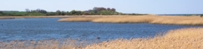 Naturschutzgebiet Riedensee - Ostsee