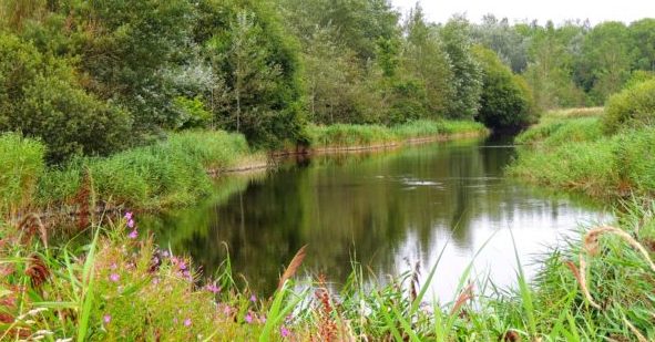 Foto: Naturerlebnisraum Katinger Watt im Nationalpark Schleswig-Holsteinisches Wattenmeer | NABU/Sophia-Fatima Freuden